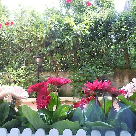 Bed and Breakfast Certe Notti - Πομπηία