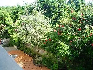 Certe Notti - Pompei